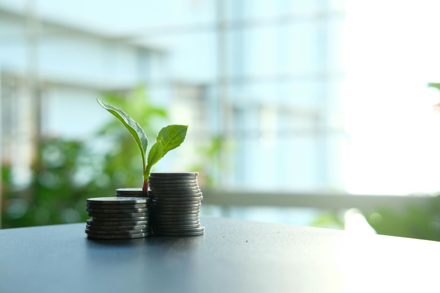 Finanzas sostenibles y climáticas