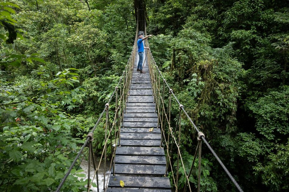 Economía forestal y bioeconomía — castaña amazónica