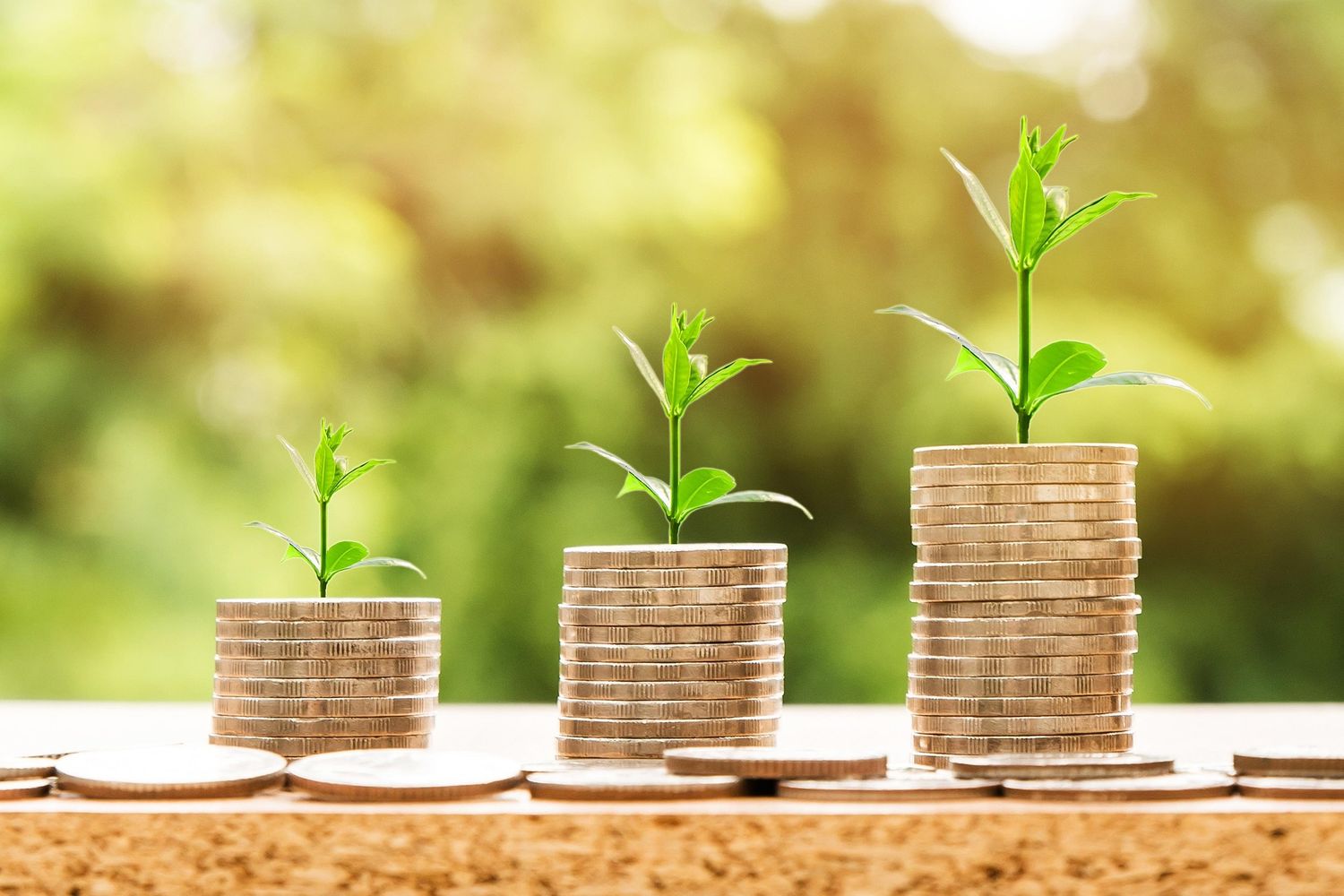 Deforestación Bolivia financiación climática